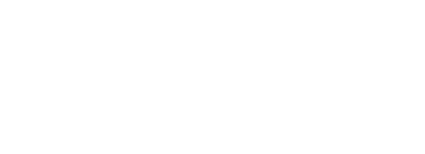 revlogicsolutions logo
